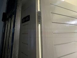 Dunearn Road (D11), Condominium #486496911